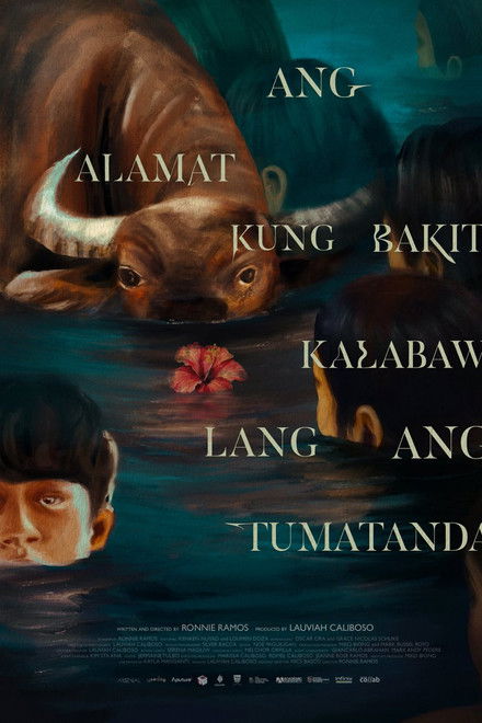 Gumamelas Are Still Red