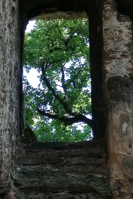 The Ruins of Seyssuel's Castle