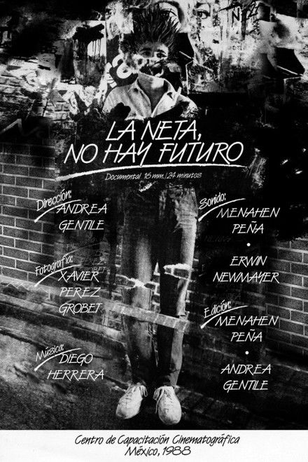 In Fact, There is not Future