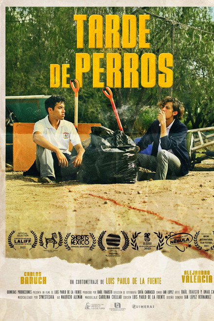 Tarde de Perros