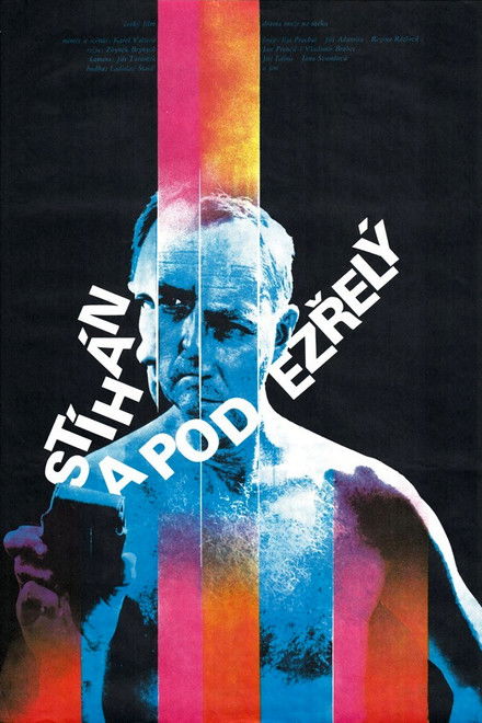 Chased and Suspected