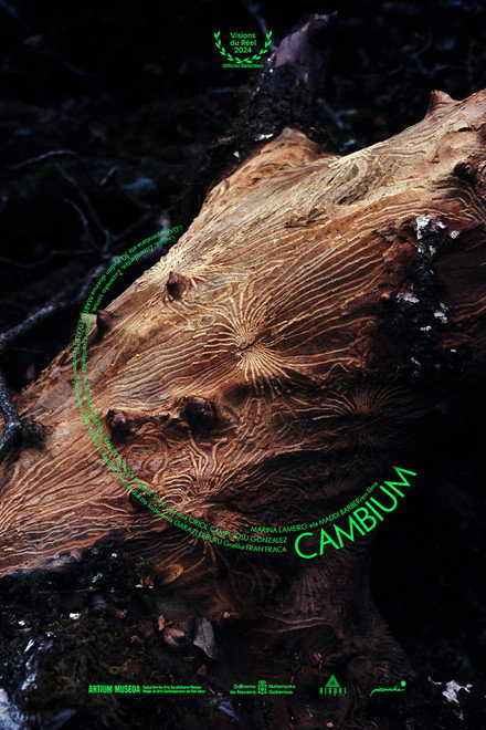 Cambium