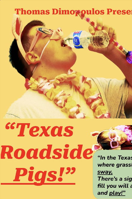Texas Roadside Pigs!