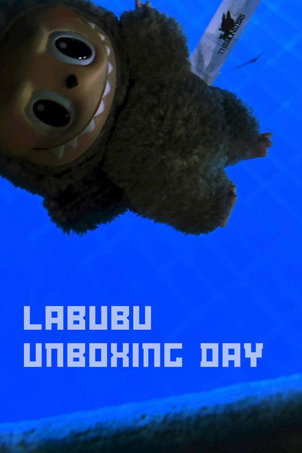 Labubu Unboxing Video
