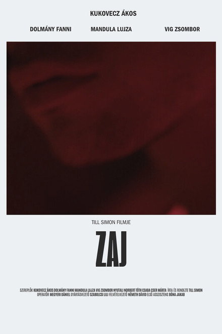 Zaj