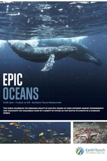 Epic Oceans