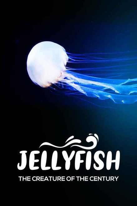 Jellyfish, the creature of the century