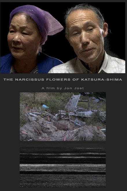 The Narcissus Flowers of Katsura-shima