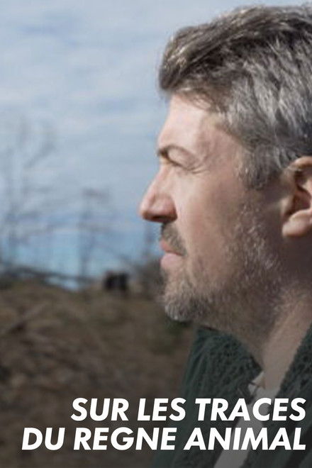 Sur les traces du règne animal