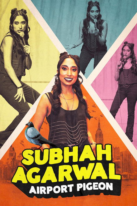 Subhah Agarwal: Airport Pigeon