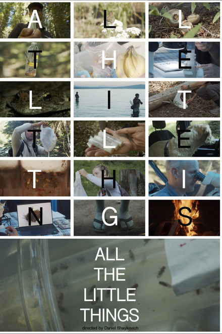 All the Little Things