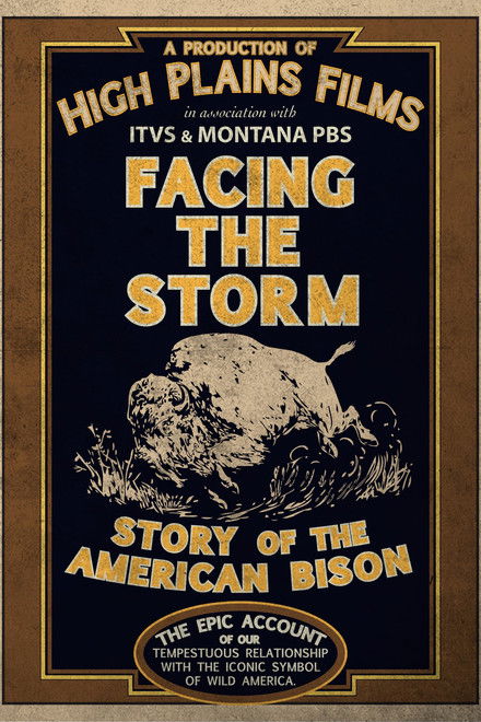 Facing the Storm: Story of the American Bison