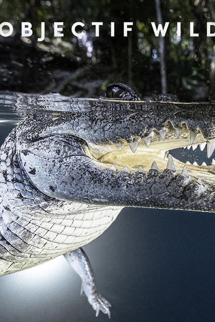 Objectif Wild