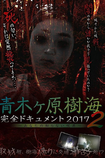 Aokigahara Jukai: Complete Document 2017 - The Curse You Don't Know 2