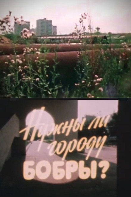 Does This Town Need Beavers?