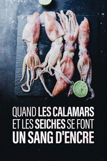 Quand les calamars et les seiches se font un sang d'encre