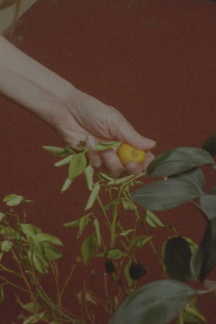 Barefoot Birthdays on Unbreakable Glass