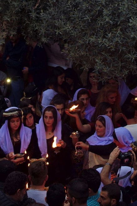Following the Peacock