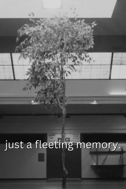 just a fleeting memory.