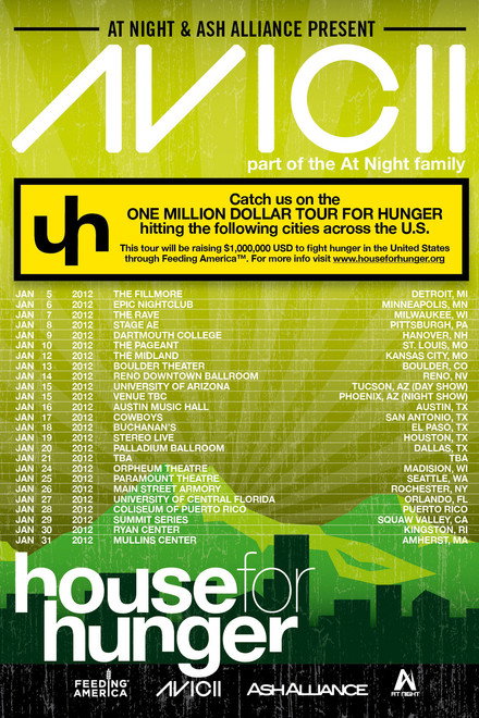 Avicii on Tour