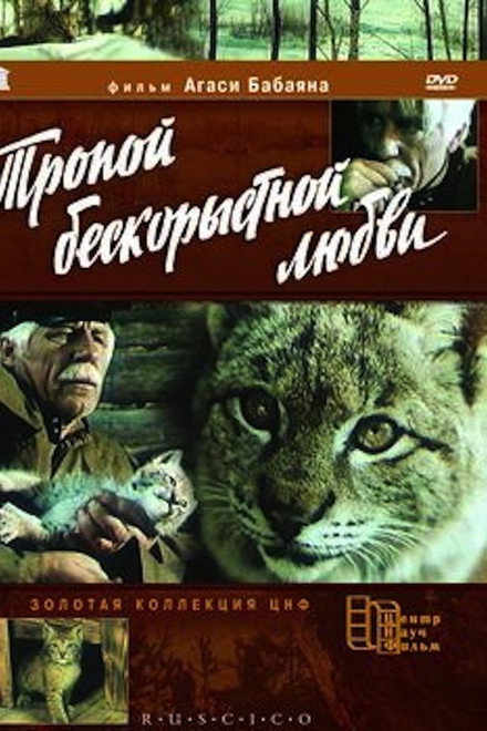 The Lynx' Adventures