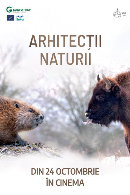 Nature's Architects
