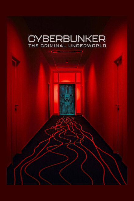 Cyberbunker: The Criminal Underworld