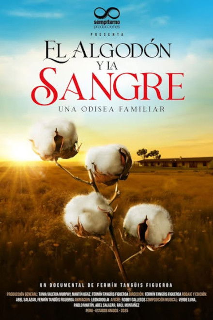 El algodón y la sangre