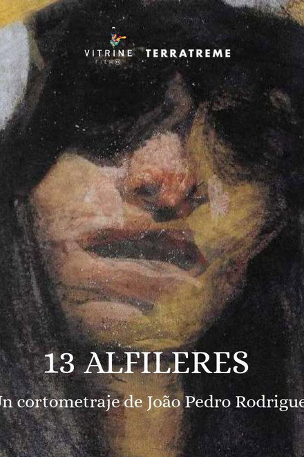 13 Alfinetes