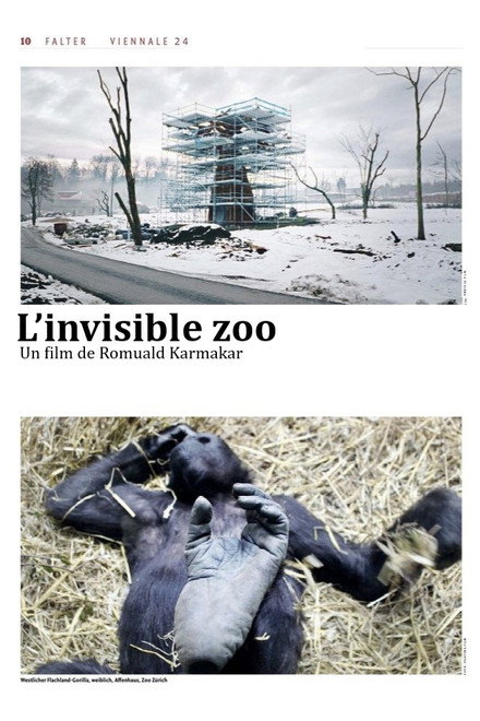 The Invisible Zoo