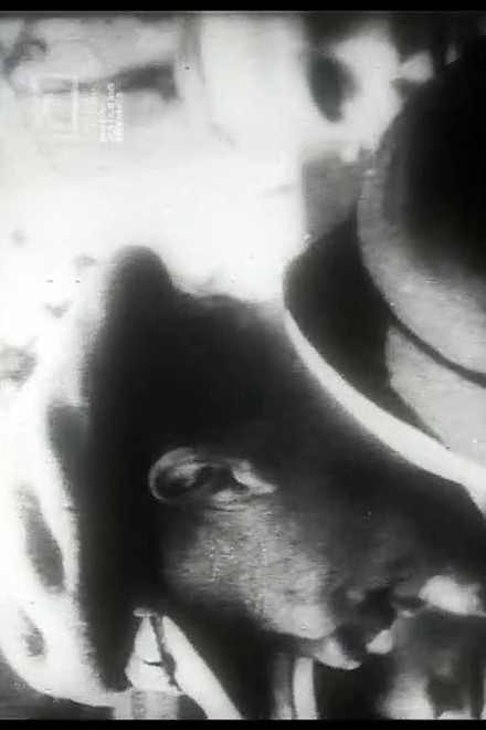 Uns mahnt ein November