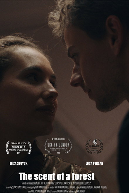 The scent of a forest