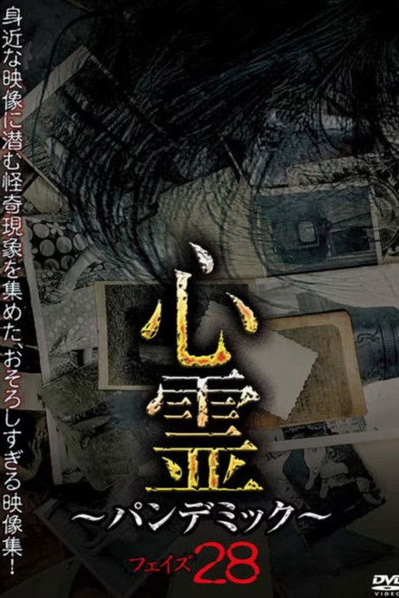 Spirit Pandemic Phase 28