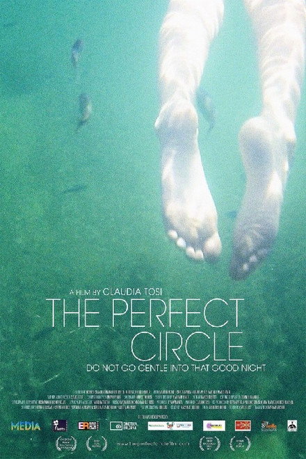 The Perfect Circle