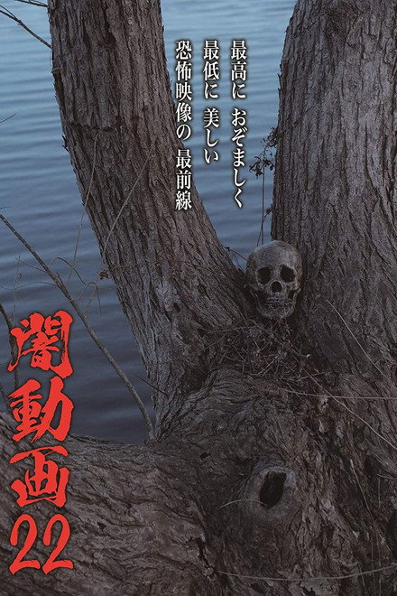 Tokyo Videos of Horror 22