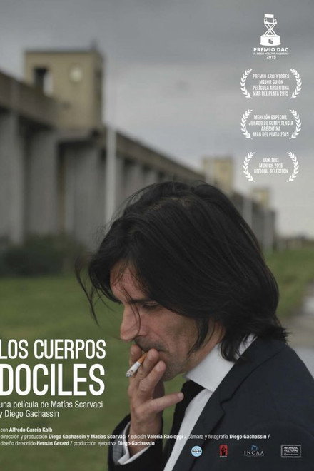 Docile Bodies