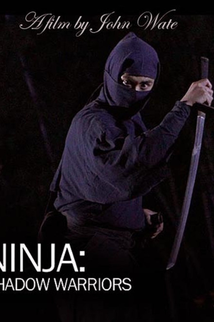 Ninja Shadow Warriors