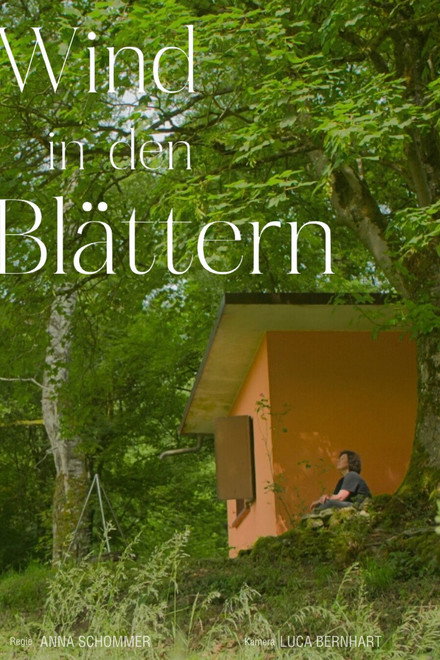 Wind in den Blättern