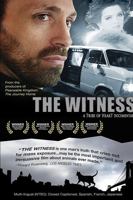 The Witness