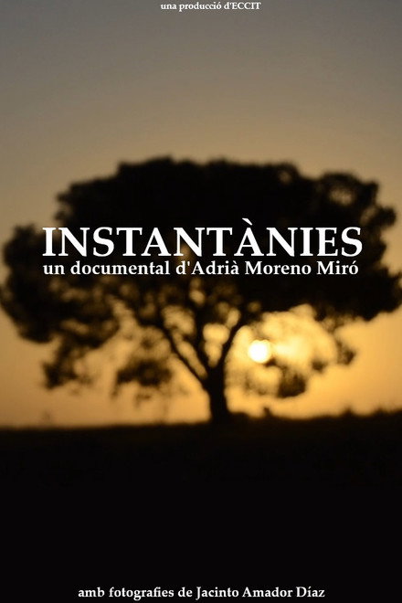 Instantànies
