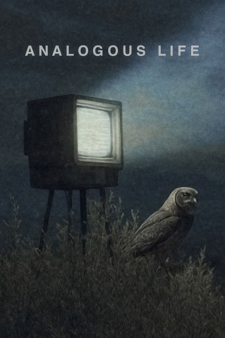Analogous Life