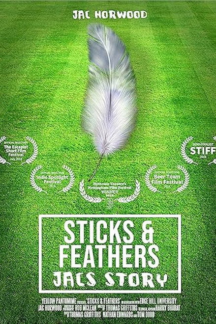 Sticks and Feathers