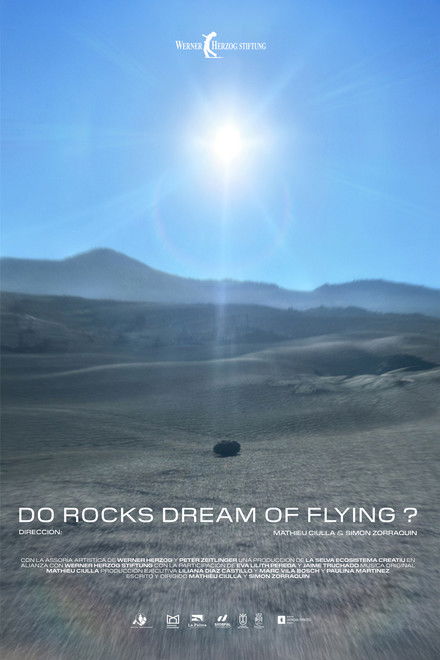 Do Rocks Dream of Flying ?
