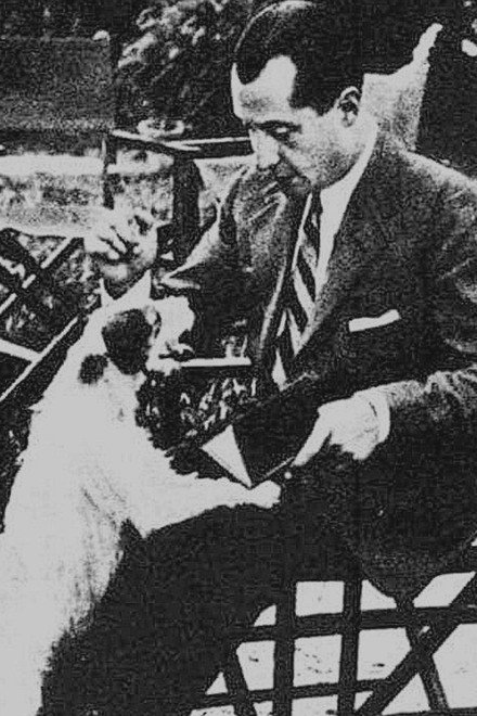 Bibliotecafalangista