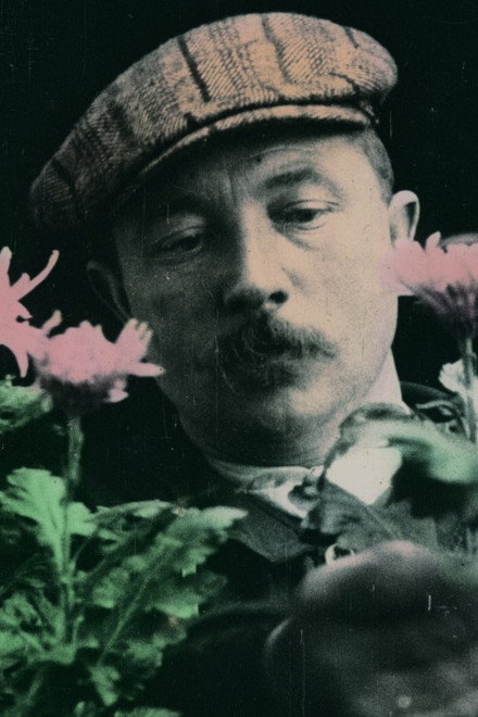 Chrysanthemum, King of Autumn