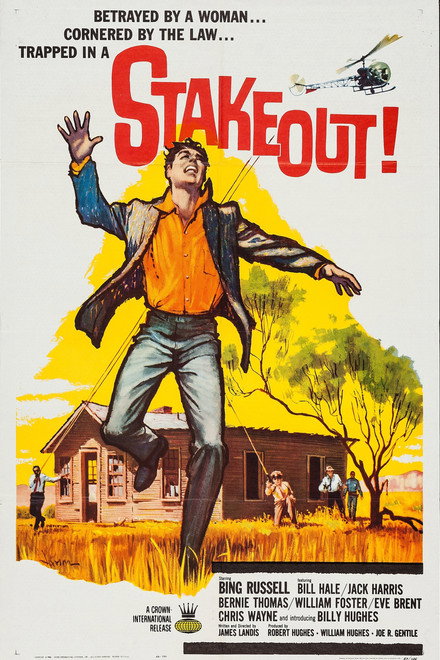 Stakeout!