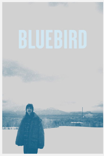 Bluebird