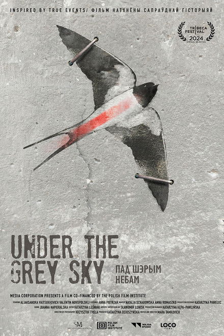 Under the Grey Sky
