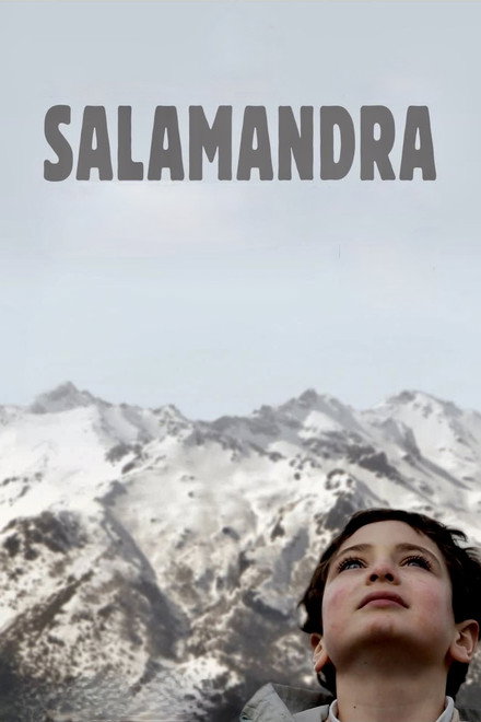 Salamander