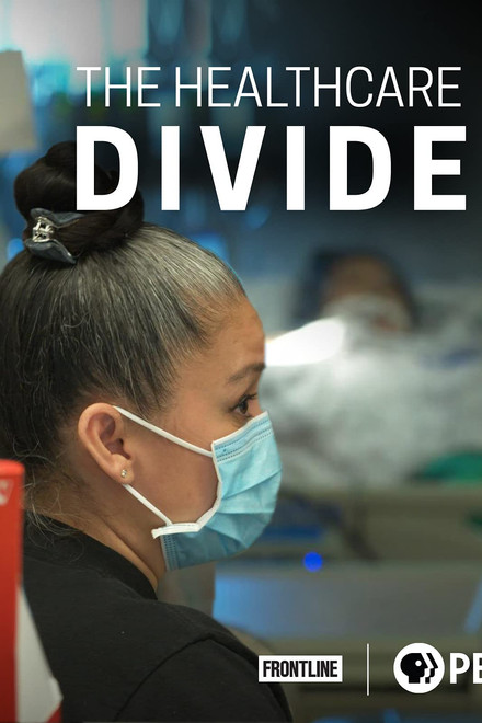 The Healthcare Divide